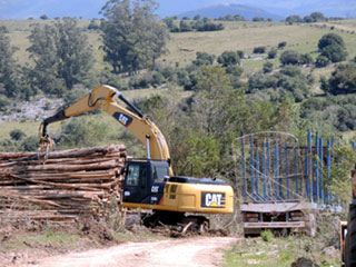 fotos cosecha