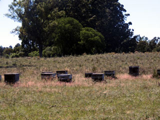usos del monte