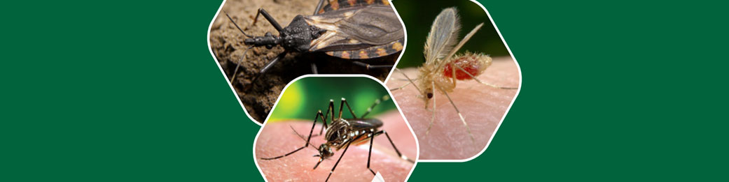 especies exoticas